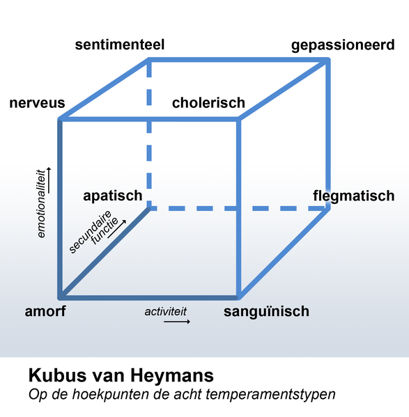 Bestand:Kubus van Heymans.png