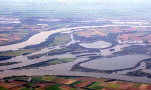 2005 luchtfoto Nationaal Park De Biesbosch