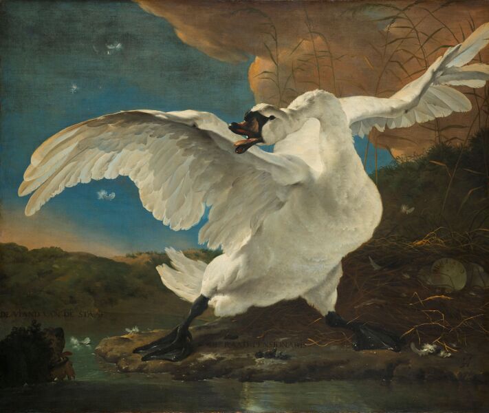 Bestand:Jan Asselijn - The Threatened Swan.jpg