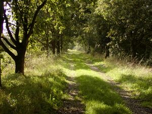 Spoordijk moerputten.jpg