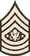 Sergeant Major of the Army