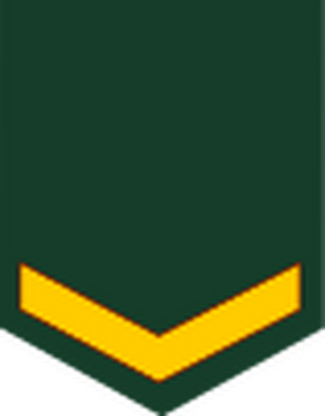 Malaysia-army-OR-3.svg