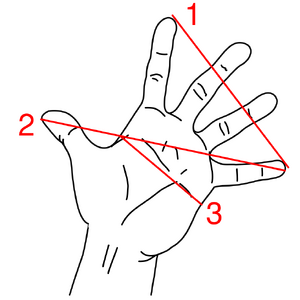 Measurements of the hand.svg