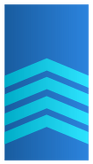 Nl-luchtmacht-sergeant majoor.svg