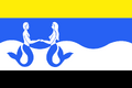Vlag van Schouwen-Duiveland