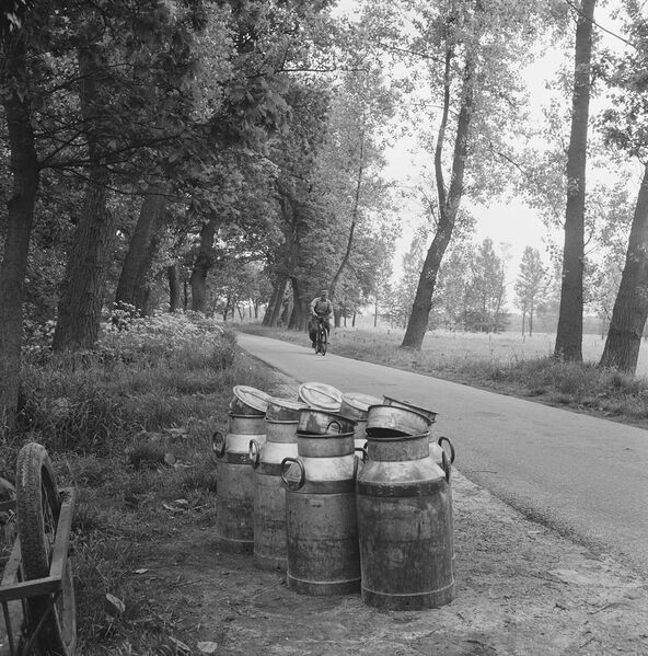 Bestand:Traject assen zuidlaren, Bestanddeelnr 168-0427.jpg