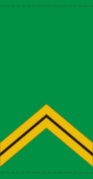 04.Mali Army-SGT.svg