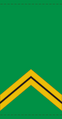 Sergent (Malian Army)[62]