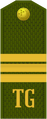 Seržant (Turkmen Ground Forces)[88]