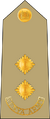 Lieutenant (Kenya Army)[45]