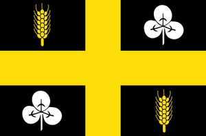 Raalte vlag.svg