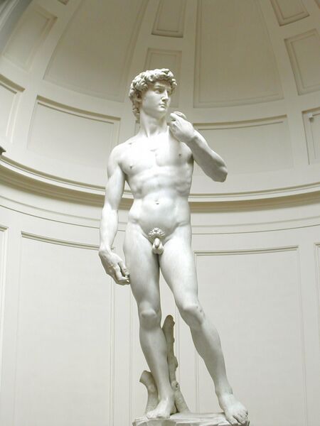 Bestand:Michelangelos David.jpg