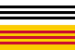 Vlag van de gemeente Loon op Zand