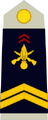 Sergent (French Army)[43]