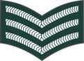 Sergeant (Gambian National Army)