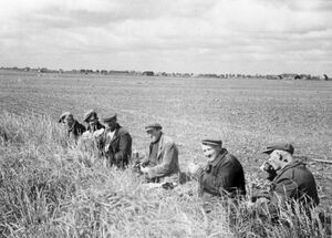 Schaftende landarbeiders omstreeks 1955