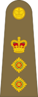 Bestand:British Army OF-5.svg