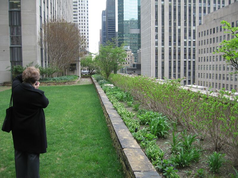 Bestand:Rockefeller 2007.jpg