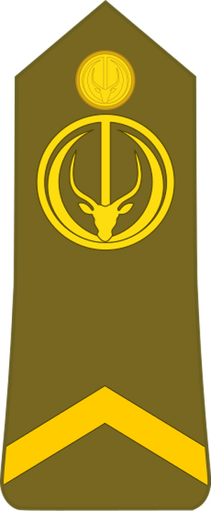 Chad-Army-OR-5.svg