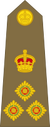 Brigadier