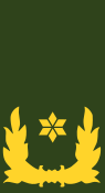 Bestand:Nl-landmacht-brigade generaal.svg