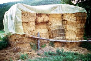 Pile-of-straw.jpg