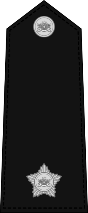 2nd Lieutenant Insignia.png