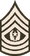 Command Sergeant Major