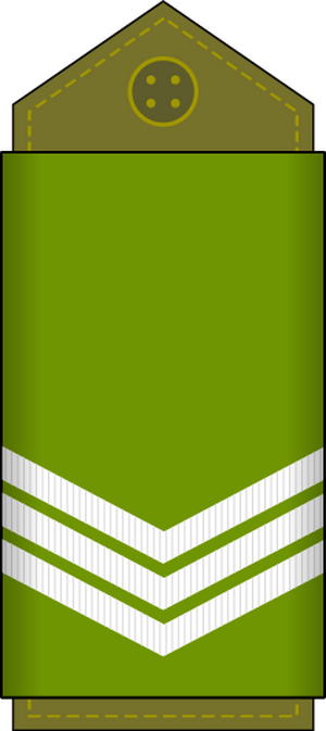 03.DRC-SGT.svg