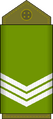 Sergent (Land Forces of the DR Congo)