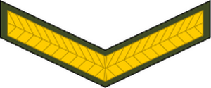 Zimbabwe-Army-OR-3.svg