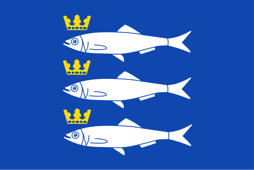 Bestand:Scheveningen vlag.svg