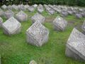 Graven van Sovjetmilitairen in Estland
