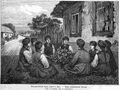 Kupula liedjes zingen, 1879
