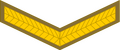 Lance corporal (South African Army)[40]