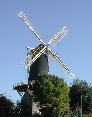 De Windhond1 (Woerden).jpg