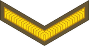 New Zealand-Army-OR-3.svg