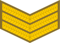 Sergeant (South African Army)[79]