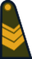 Sargento (Argentine Army)[23]