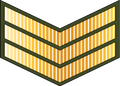 Sarjan (Royal Brunei Land Force)[32]