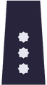 Komisarz (Polish Policja)