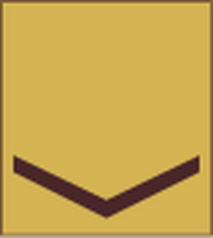 Kenya-Army-OR-3.svg