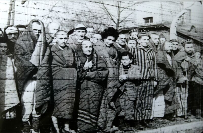 Bestand:Auschwitz Liberated January 1945.jpg