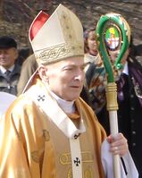 Een metropoliet draagt een pallium over het kazuifel als hij in zijn eigen kerkprovincie is. Daarbuiten draagt hij het pallium niet. Verblijft de paus in de kerkprovincie, dan wordt het pallium ook niet gedragen.