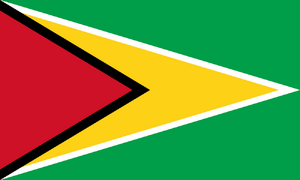 Flag of Guyana.svg