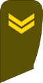 Seržantas (Lithuanian Land Force)[57]