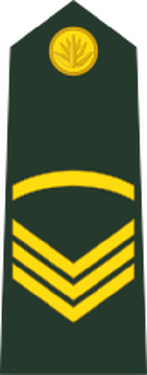 Bangladesh-army-OR-5.svg