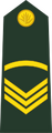 Sergeant (Bengali: সার্জেন্ট, romanized: Sārjēnṭa) (Bangladesh Army)[26]