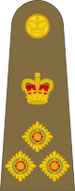 Bestand:British Army OF-6.svg