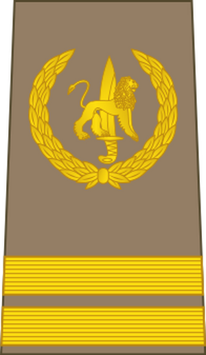 04-ROCongo Army-SGT.svg